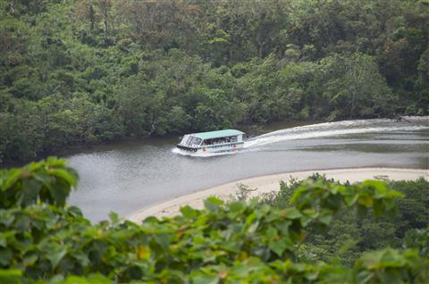 【西表島】仲間川マングローブクルーズ　写真提供：OCVB